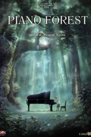 Piano Forest