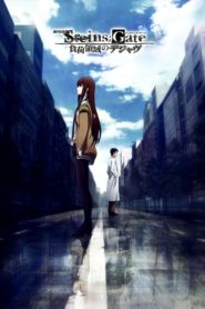 Steins;Gate: Fuka ryouiki no dejavu