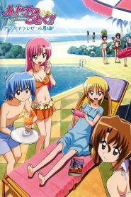 Hayate no gotoku!