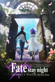 Fate/stay night : Heaven’s Feel III. spring song