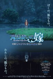 Mahou Tsukai No Yome – The Ancient Magus’ Bride