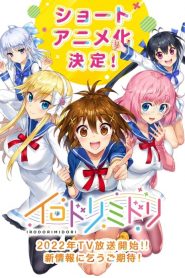 イロドリミドリ