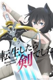 Tensei shitara Ken Deshita