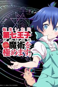 Tensei shitara Dainana Ouji Datta node – I Was Reincarnated as the 7th Prince so I Can Take My Time Perfecting My Magical Ability: Saison 1