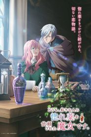 Love Potion, la sorcière mal-aimée
